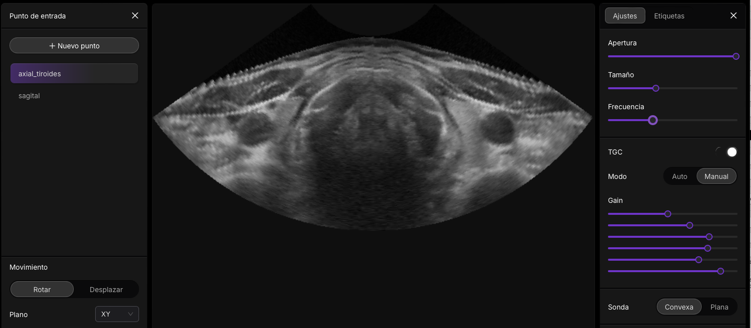 Pasos básicos del camino de los ultrasonidos