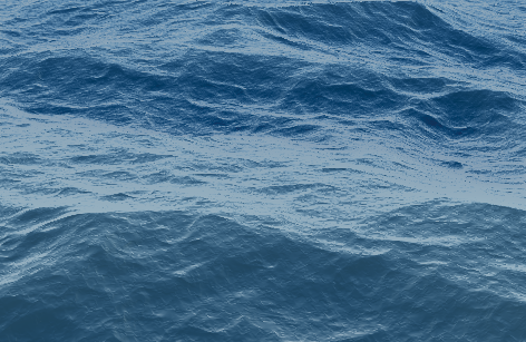 Pasos básicos del camino de los ultrasonidos