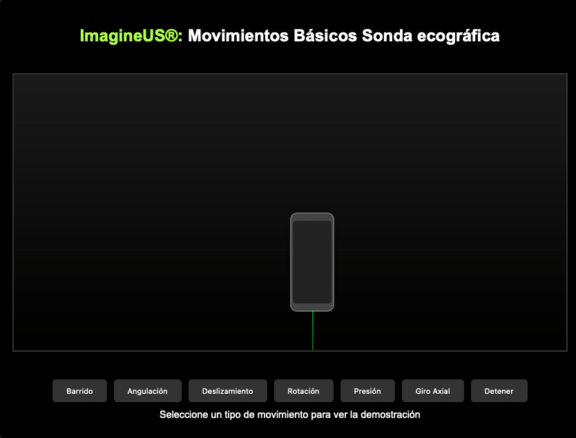 Pasos básicos del camino de los ultrasonidos